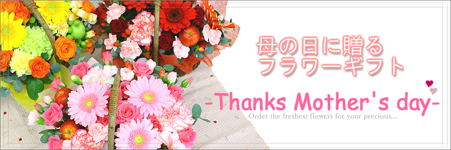 ��̓��ɑ��邨��