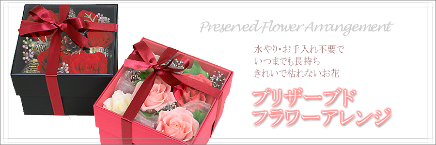 �v���U�[�u�h �t�����[ �M�t�g