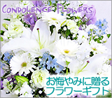 �䋟 ���� ������ ���ފ� ���~�ɉԂ𑡂�