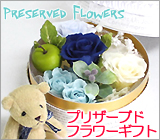 �v���U�[�u�h �͂�Ȃ��Ԃ̃t�����[�M�t�g