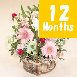 �G�߂̃A�����W�����g-12���������-