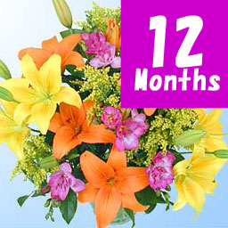 �t�����[�t�@�[�����a����-12���������-