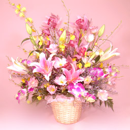 ���؂ȃ����̃A�����W