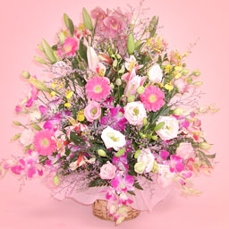 �����؂ȃ����̃A�����W