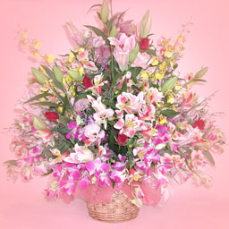 �S�[�W���X�ȃ����̃A�����W