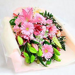 �؂₩�ȃ����̉ԑ��E�s���N