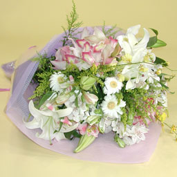 �������ԑ��E�R���h�����X