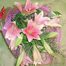 �����̉ԑ��E�s���N