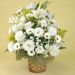 �������A�����W�E�V���p�V�[