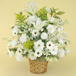 �������A�����W�E�R���h�����X