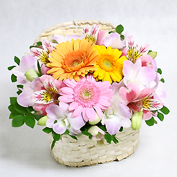 �z���C�g�E�o�X�P�b�g