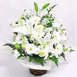 �������A�����W�E���X�y�N�g