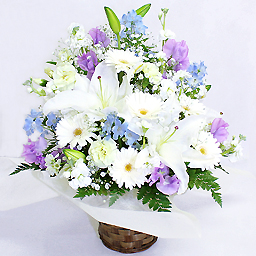 �������A�����W�E���X�y�N�g �������n