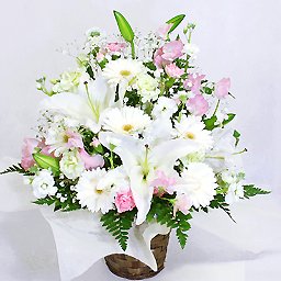 �������A�����W�E���X�y�N�g �����s���N�n