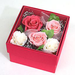 �v���U�[�u�h�A�����W�E�R�t�����[