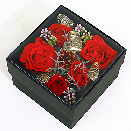 �v���U�[�u�h�A�����W�E�R�t�����[�W��