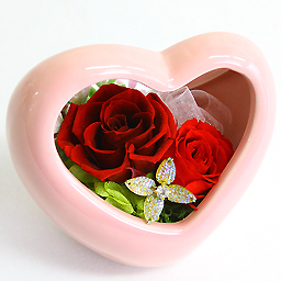 �v���U�[�u�h�A�����W�E�G���U