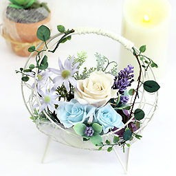 �v���U�[�u�h�A�����W�E�u�����[��