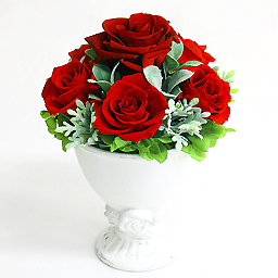 �v���U�[�u�h�A�����W�E�}�j�t�B�[�N �v�`