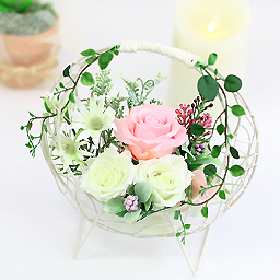 �v���U�[�u�h�A�����W�E�t�H���e�[�k