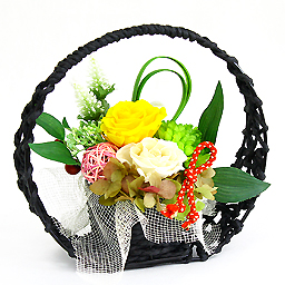 �v���U�[�u�h�A�����W�E�c