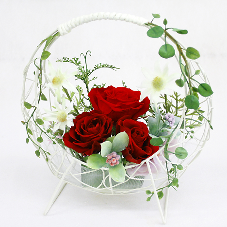 �v���U�[�u�h�A�����W�E�J���}��