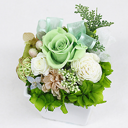 �v���U�[�u�h�A�����W�E�O���� ���F�[��