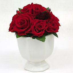 �v���U�[�u�h�A�����W�E�}�j�t�B�[�N