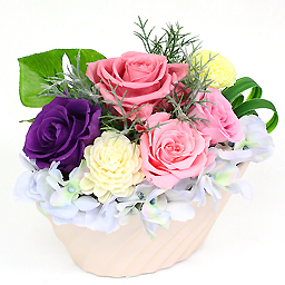 �v���U�[�u�h�A�����W�E�^���^�V�I��