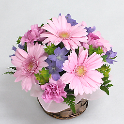 �V�[�Y�i���A�\�[�g�E�A�����W �s���N�n