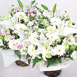 �������A�����W�E���X�y�N�g�i2�Z�b�g�j