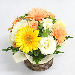 �V�[�Y�i���A�\�[�g�E�A�����W �g�F�n