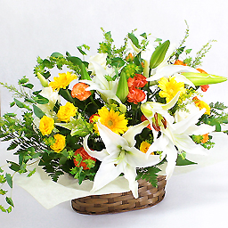 �؂₩�ȃ����̃A�����W