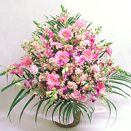 ���؂ȋG�߂̃A�����W�E�s���N�n