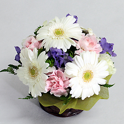 �V�[�Y�i���A�\�[�g�E�A�����W �o�j��