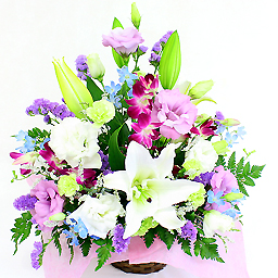 �A�����W�����g�E�t�@�~���A