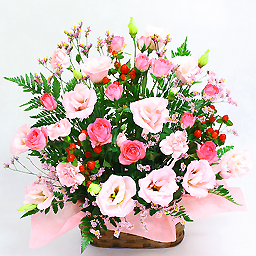 �A�����W�����g�E�K�[�f�� �s���N�n