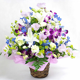 �A�����W�����g�E���~�j�X