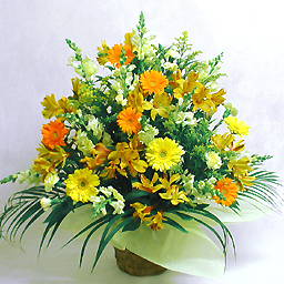 ���؂ȋG�߂̃A�����W�E�g�F�n