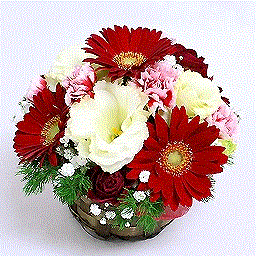 �V�[�Y�i���A�\�[�g�E�A�����W �Ԍn