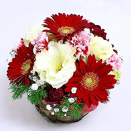 �V�[�Y�i���A�\�[�g�E�A�����W �Ԍn