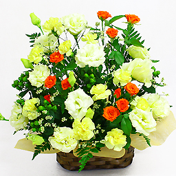 �A�����W�����g�E�K�[�f�� �I�����W�n