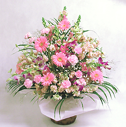 �؂₩�ȋG�߂̃A�����W�E�s���N�n