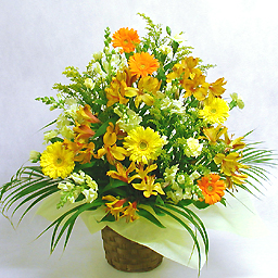 �؂₩�ȋG�߂̃A�����W�E�g�F�n