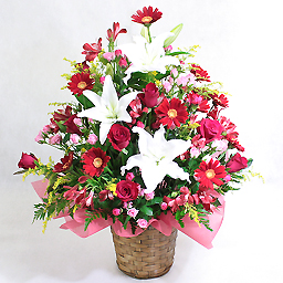 ���؂ȃA�����W�E�r�r�b�h