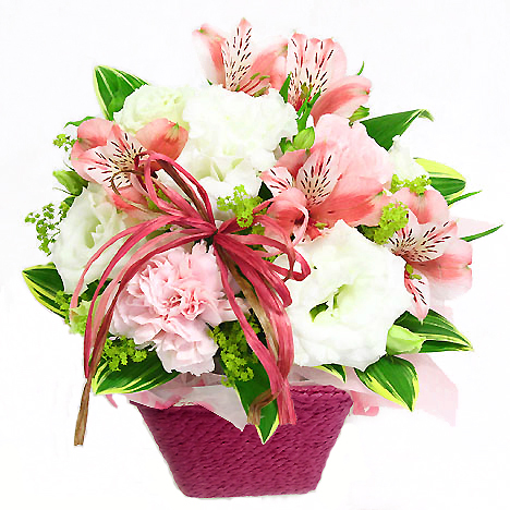 �����̂��͂��͂�����