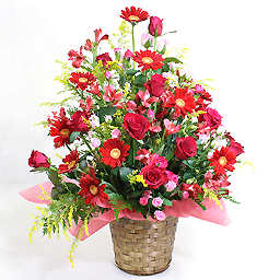 ���؂ȋG�߂̃A�����W�E�Ԍn