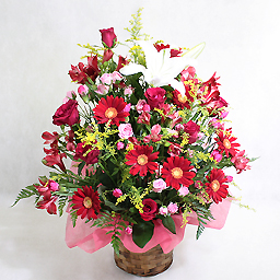 �؂₩�ȃA�����W�E�r�r�b�h