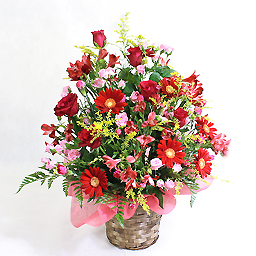 �؂₩�ȋG�߂̃A�����W�E�Ԍn