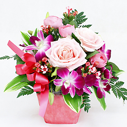 4���̃A�����W�̉Ԃ̑�z